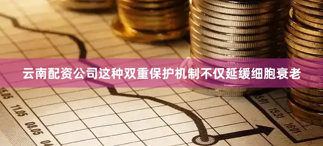 云南配资公司这种双重保护机制不仅延缓细胞衰老