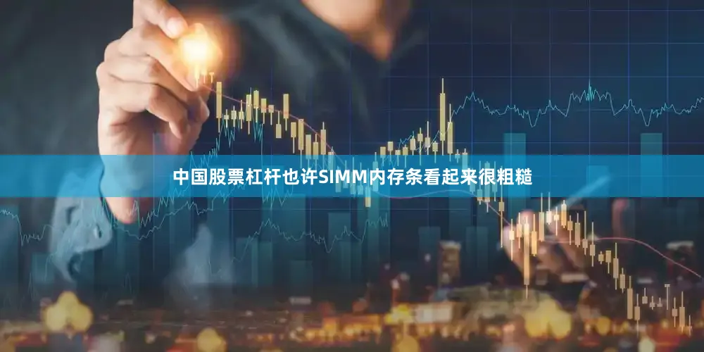 中国股票杠杆也许SIMM内存条看起来很粗糙