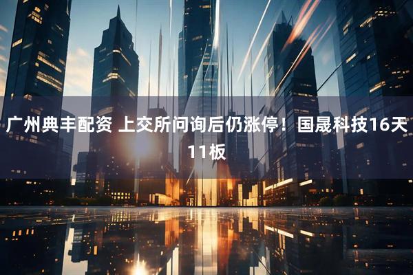 广州典丰配资 上交所问询后仍涨停！国晟科技16天11板